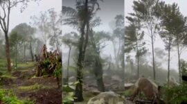 Kondisi lereng Gunung Salak, Javana Resort via jalur pendakian Desa/Kecamatan Cidahu, Kabupaten sukabumi rusak - @yuddychrisnandi