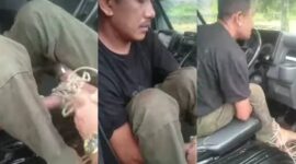 Terlilit utang, N sopir pickup di Sukabumi berpura-pura dibegal