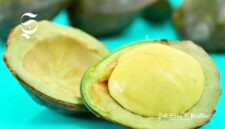 Buah jengkol - sukabumiheadline.com