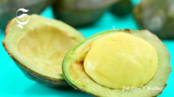 Buah jengkol - sukabumiheadline.com