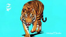 Harimau Sunda - Ilustrasi sukabumiheadline.com