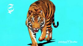 Harimau Sunda - Ilustrasi sukabumiheadline.com