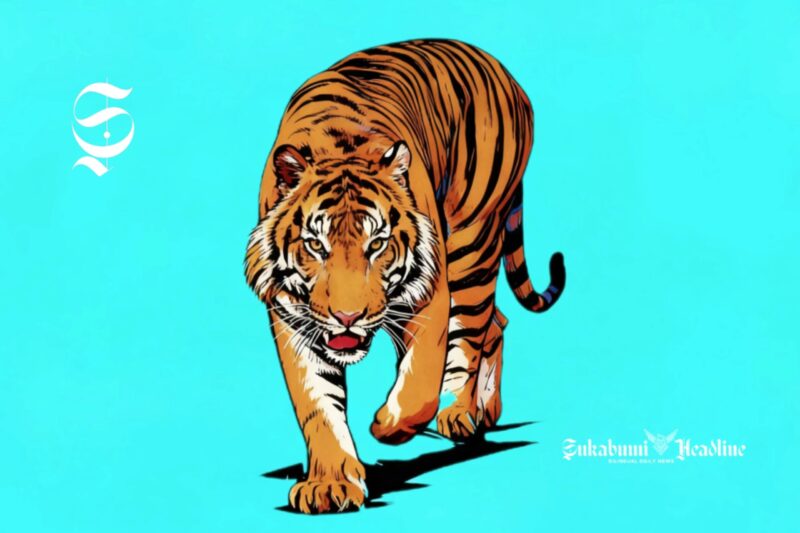 Harimau Sunda - Ilustrasi sukabumiheadline.com