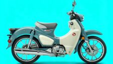 Honda Super Cub C125 2026 - Honda