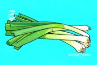 Ilustrasi bawang daun - sukabumiheadline.com