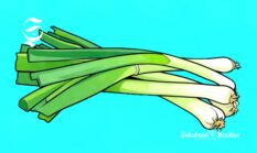 21 kecamatan penghasil bawang daun di Sukabumi