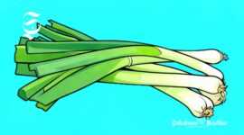 Ilustrasi bawang daun - sukabumiheadline.com