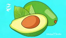 Ilustrasi buah alpukat - sukabumiheadline.com