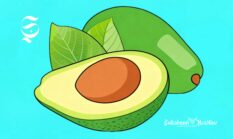 Alpukat Sukabumi dihasilkan 42 kecamatan ini, kenali kandungan gizi dan manfaatnya