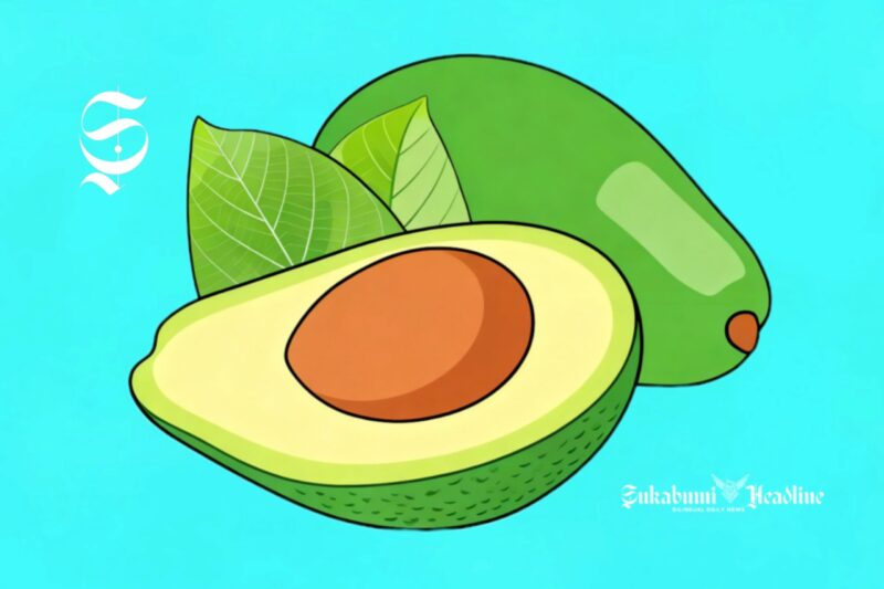 Ilustrasi buah alpukat - sukabumiheadline.com