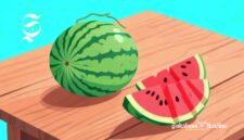 Ilustrasi buah semangka - sukabumiheadline.com