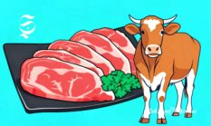 Volume produksi daging sapi Sukabumi, kandungan gizi dan harga