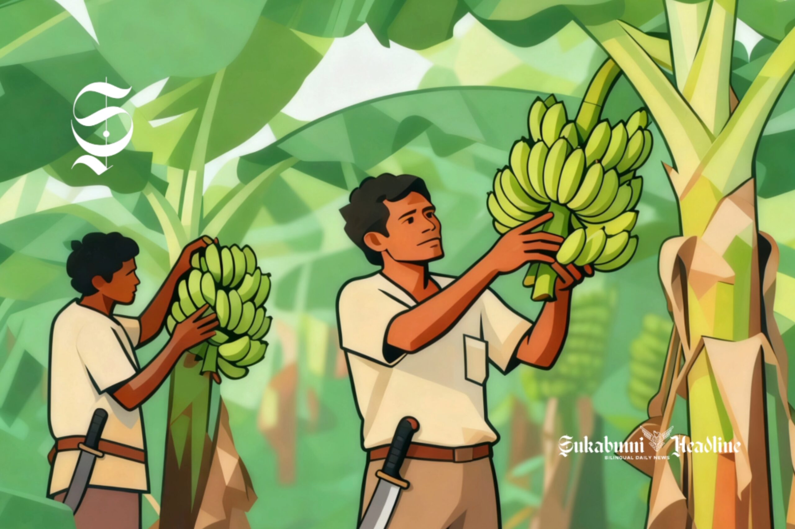 Ilustrasi dua orang petani pisang - sukabumiheadline.com