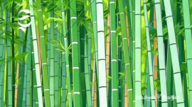 Ilustrasi kebun bambu - sukabumiheadline.com