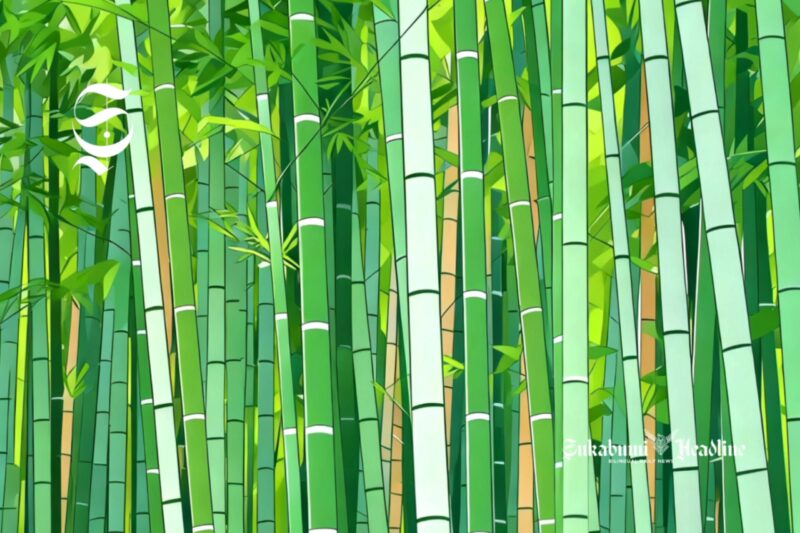 Ilustrasi kebun bambu - sukabumiheadline.com