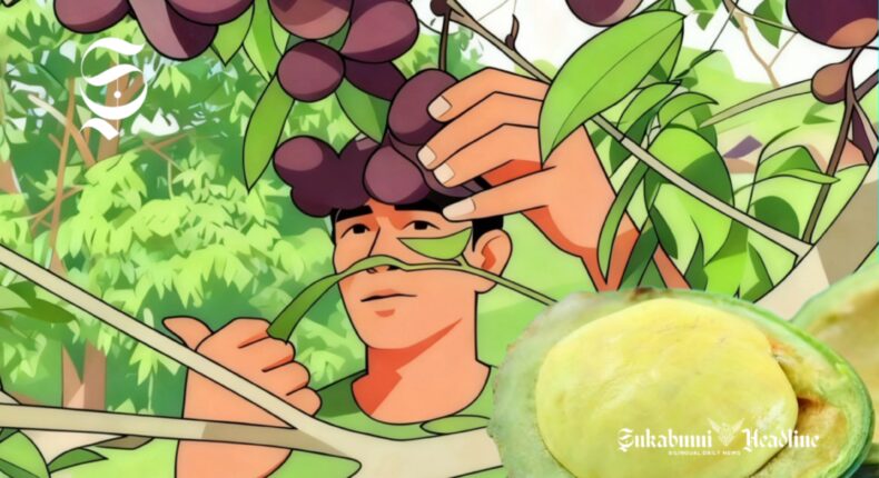 foto slider headline