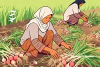Ilustrasi petani bawang merah sedangkan panen - sukabumiheadline.com