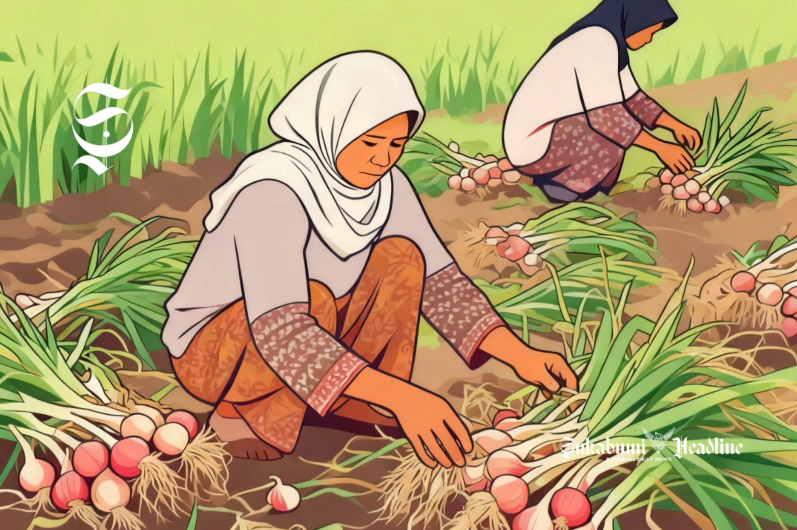 Ilustrasi petani bawang merah sedangkan panen - sukabumiheadline.com