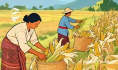 Kementerian Pertanian kawal swasembada pangan di Sukabumi