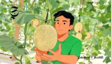 Ilustrasi petani melon - sukabumiheadline.com