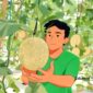 Ilustrasi petani melon - sukabumiheadline.com