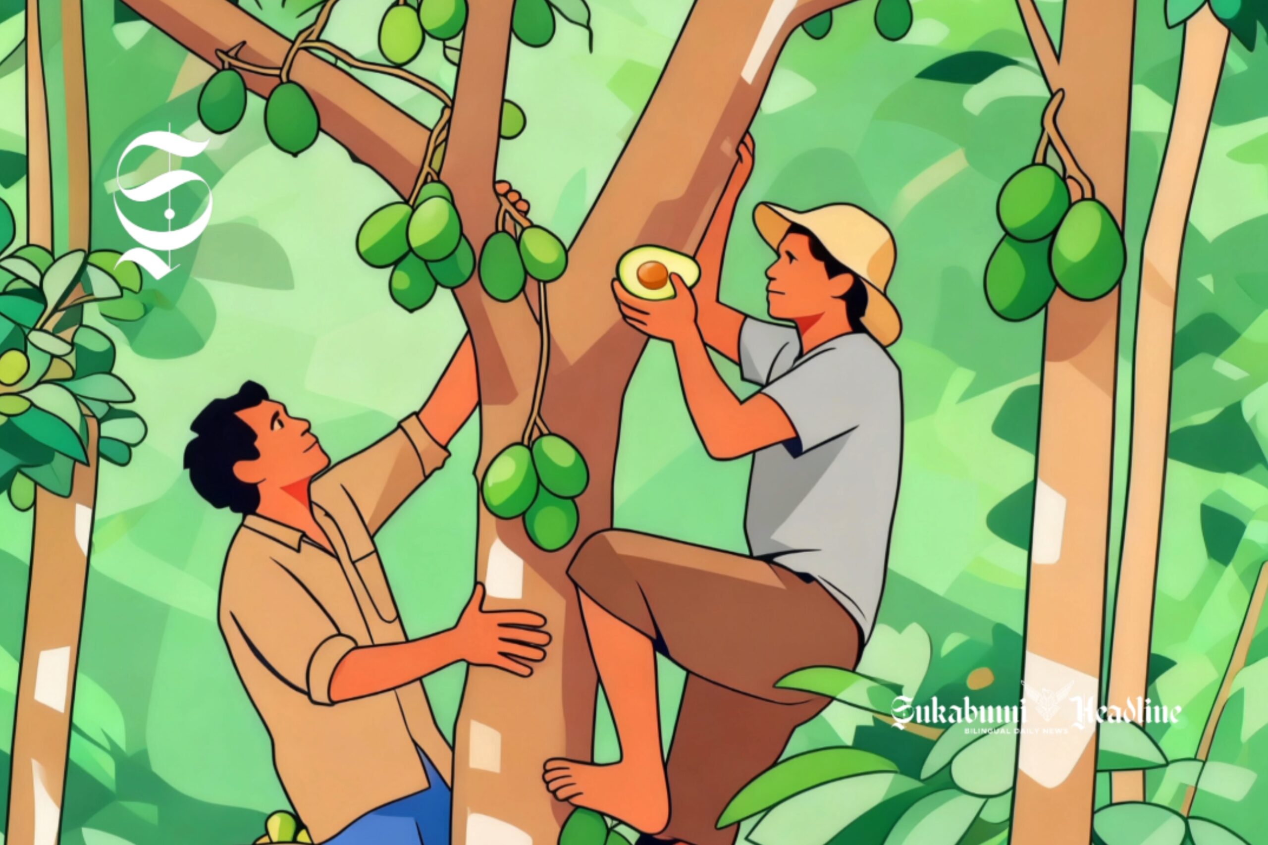 Alpukat Sukabumi dihasilkan 42 kecamatan ini, kenali kandungan gizi dan manfaatnya 2 Ilustrasi petani sedang memetik buah alpukat - sukabumiheadline.com
