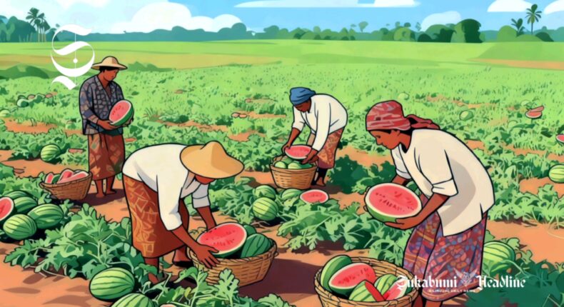 foto slider headline