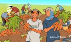 Kabupaten Sukabumi terbesar ke-4, ini 5 kecamatan penghasil wortel