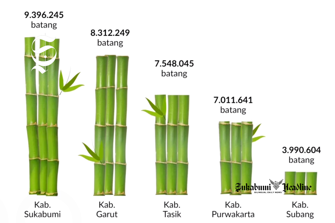 9,3 juta batang! Produksi bambu Sukabumi terbesar, ini kecamatan penghasil dan pujian KDM 2 Kabupaten penghasil bambu di Jawa Barat - Open Data Jawa Barat