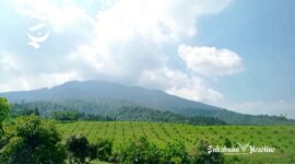 Kebun Alpukat Cidahu Ayeuna - Ist
