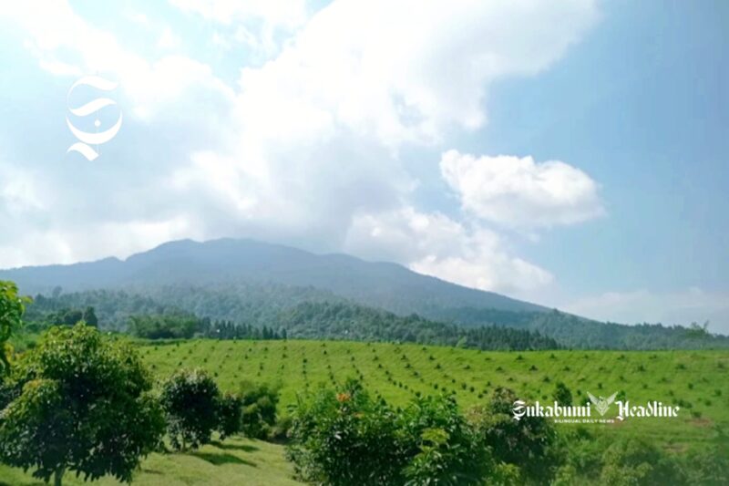 Kebun Alpukat Cidahu Ayeuna - Ist