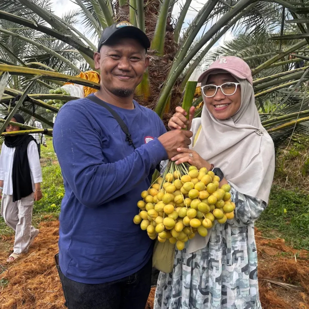 Pengunjung memamerkan buah kurma Sukabumi hasil memetik - Ist