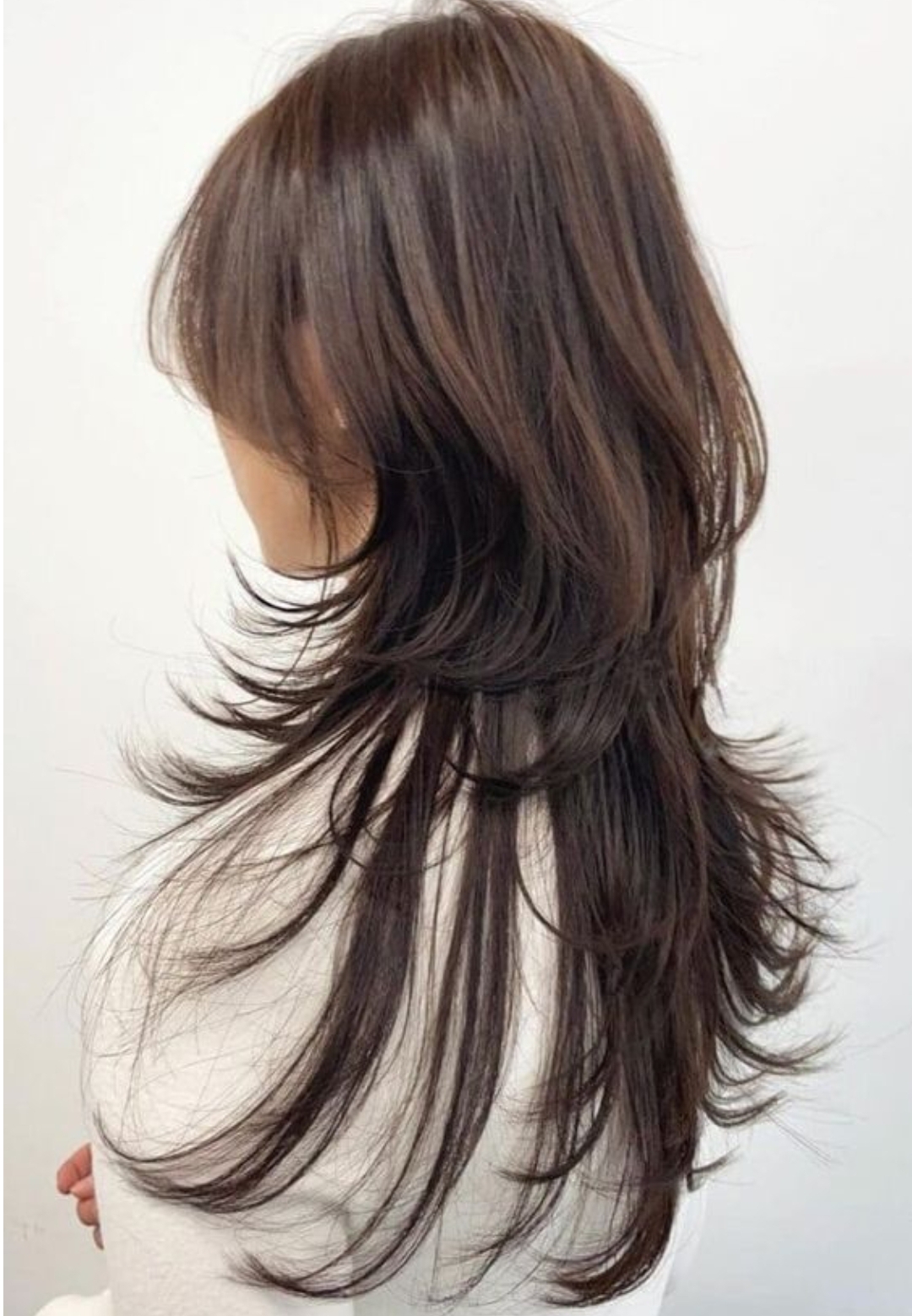 Soft wolf cut panjang