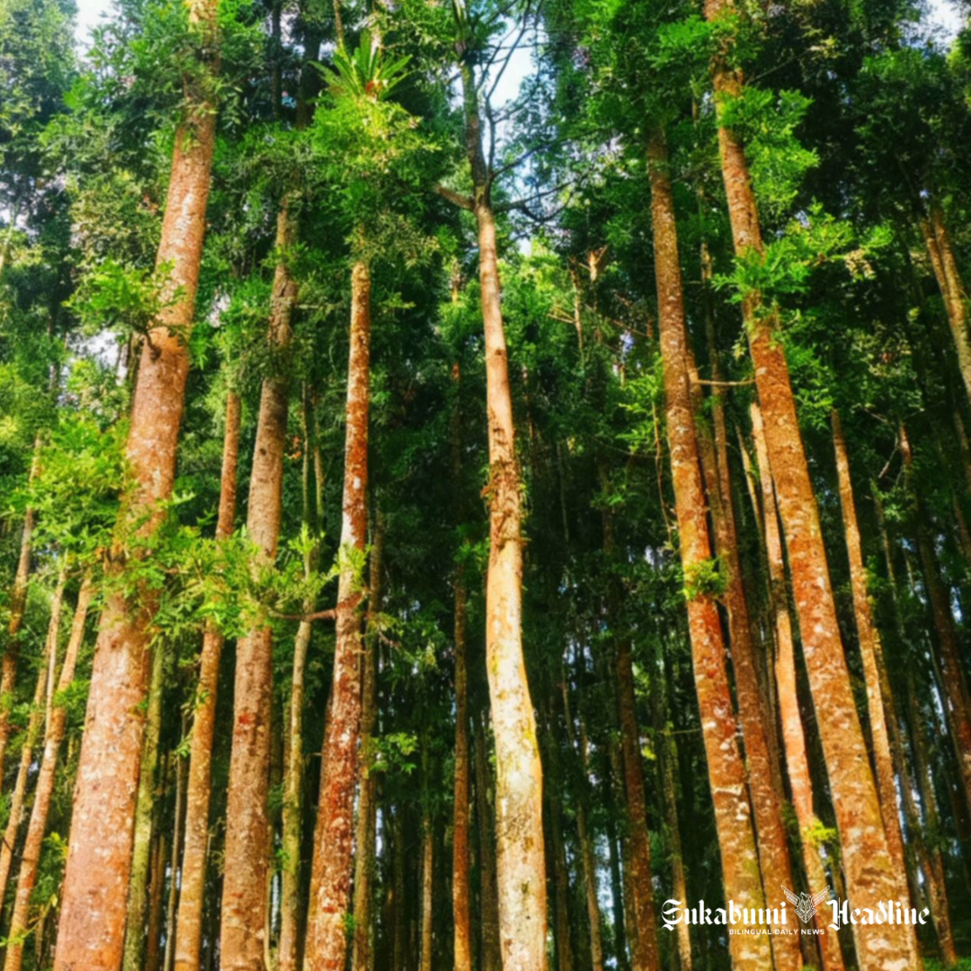 Wisata Curug Pelangi & Pilung Girijaya Cidahu Sukabumi, sajikan keindahan alam dan camping ground - Awan Hayun