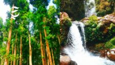 Wisata Curug Pelangi & Pilung Girijaya Cidahu Sukabumi, sajikan keindahan alam dan camping ground - Awan Hayun