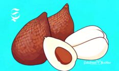 15 kecamatan penghasil buah salak di Sukabumi, 1.000 ton buah bersisik kaya serat