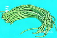 Ilustrasi kacang panjang - sukabumiheadline.com