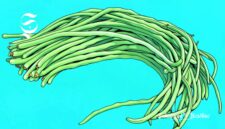 Ilustrasi kacang panjang - sukabumiheadline.com