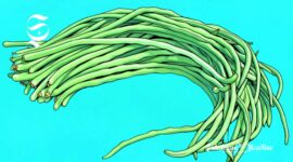 Ilustrasi kacang panjang - sukabumiheadline.com