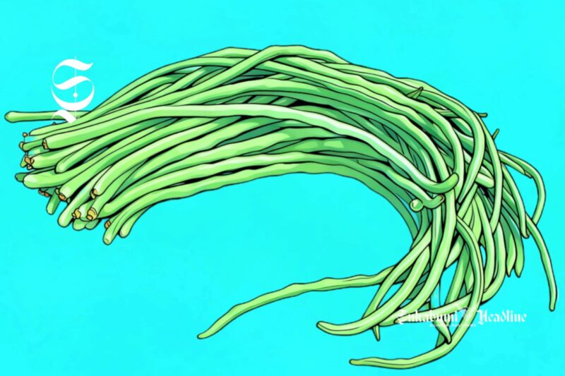 Ilustrasi kacang panjang - sukabumiheadline.com