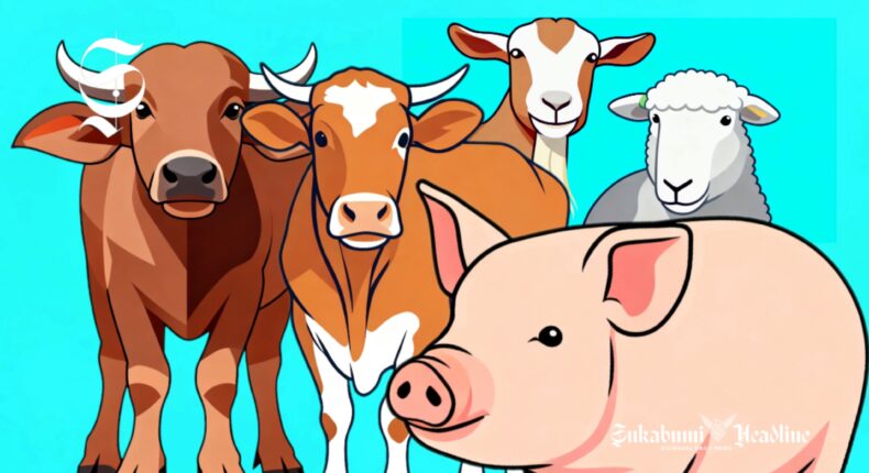 foto slider headline