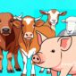 Ilustrasi kerbau, sapi, kambing, domba dan babi - sukabumiheadline.com