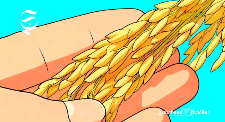 foto slider headline