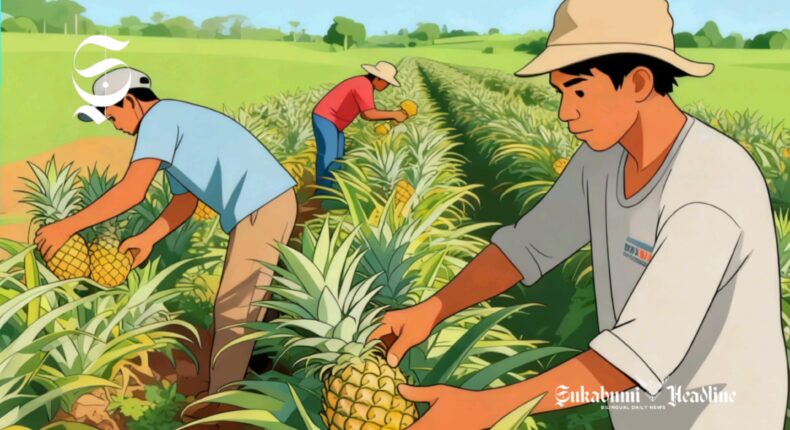 foto slider headline