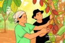 Ilustrasi petani kakao - sukabumiheadline.com
