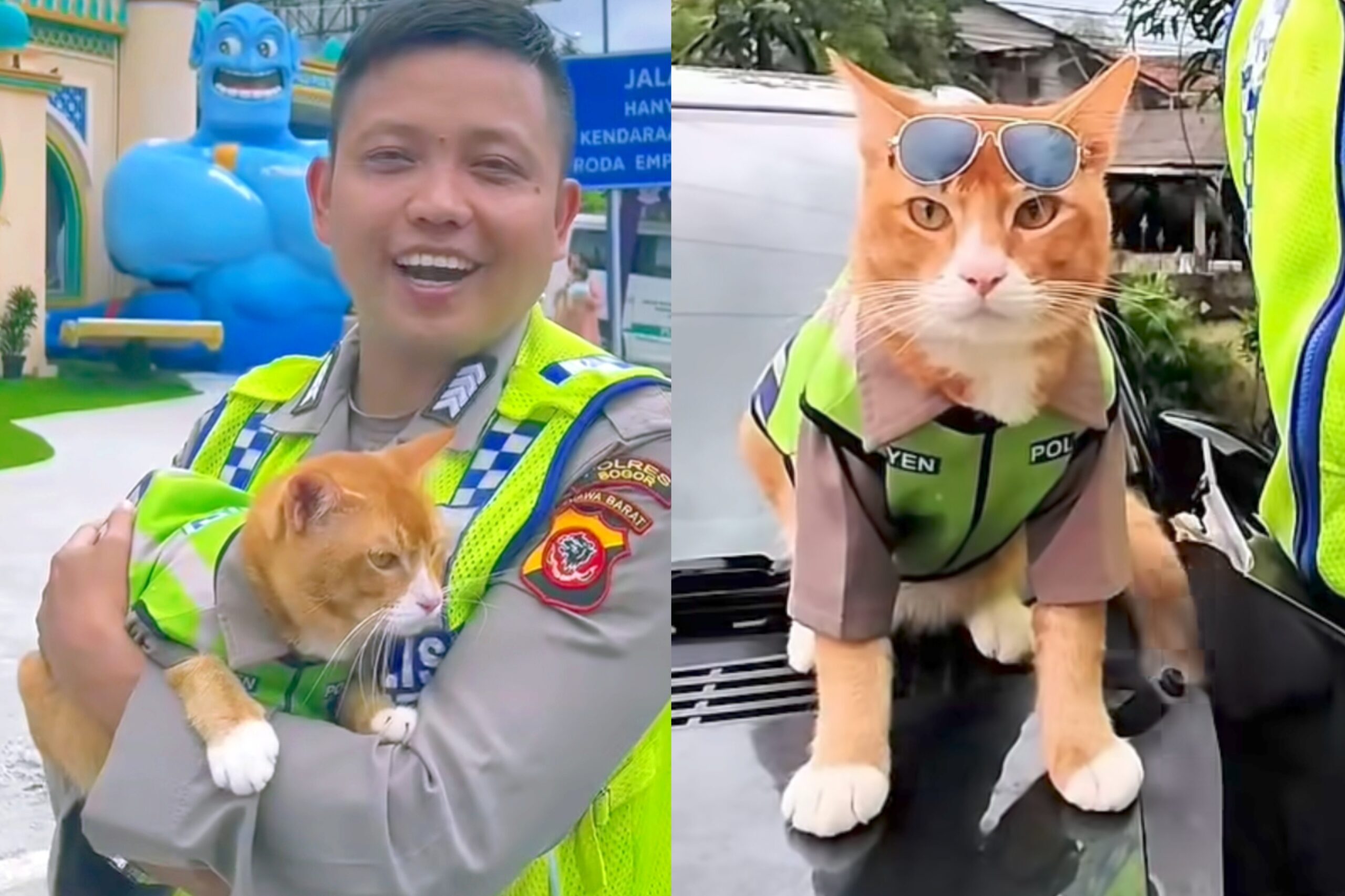 Kenalin Poyici Oyen, si mpus tukang pantau lain Bogor, Puncak, Sukabumi 1 Kenalin Poyici Oyen, si mpus tukang pantau lain Bogor, Puncak, Sukabumi