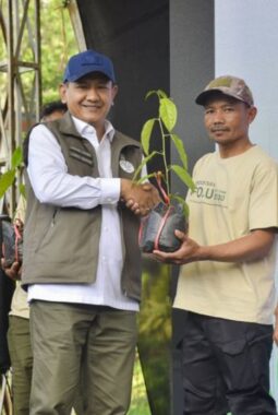Hari Hutan Internasional, Wamenhut tanam pohon di Sukabumi