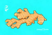 Ilustrasi Jahe - sukabumiheadline.com