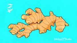 Ilustrasi Jahe - sukabumiheadline.com