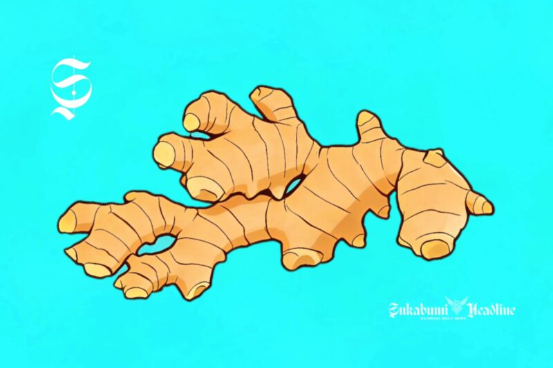 Ilustrasi Jahe - sukabumiheadline.com